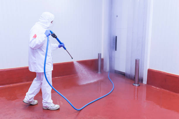 Best Rust Removal  in Balmville, NY