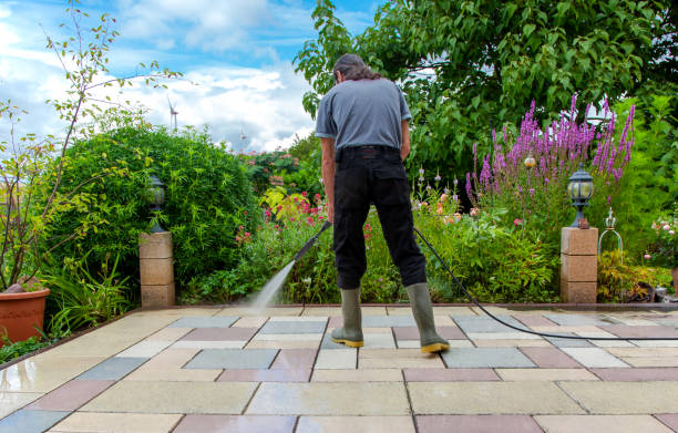 Best Animal Enclosure Cleaning  in Balmville, NY
